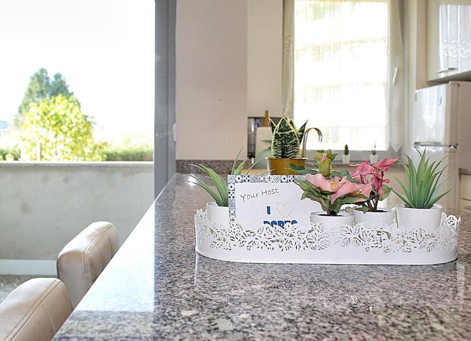 Arrabida Luxury Studio Vila Nova de Gaia Buitenkant foto